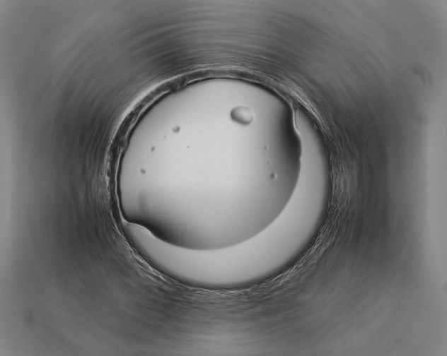 X0000113071068200909250924