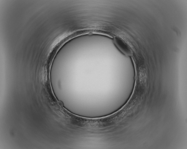 X0000113071069200909250924