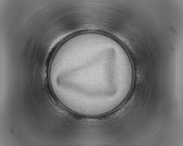 X0000113071070200909250924