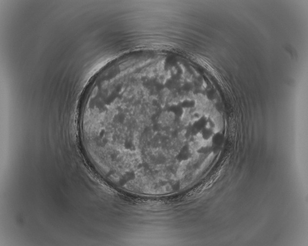 X0000113071071200909250924