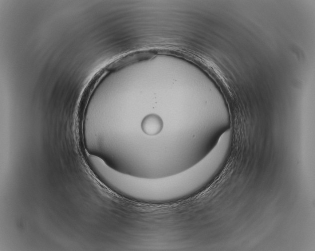 X0000113071072200909250924