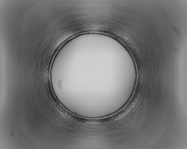 X0000113071073200909250924