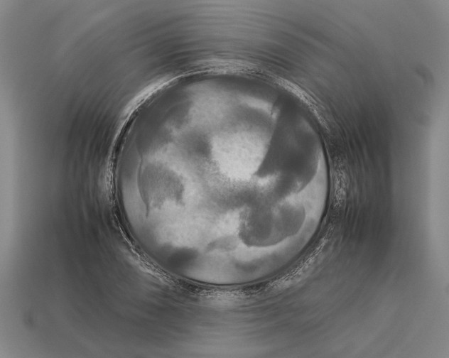 X0000113071074200909250924