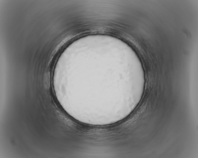 X0000113071075200909250924