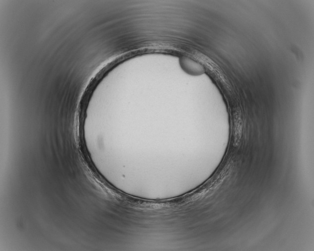 X0000113071076200909250924