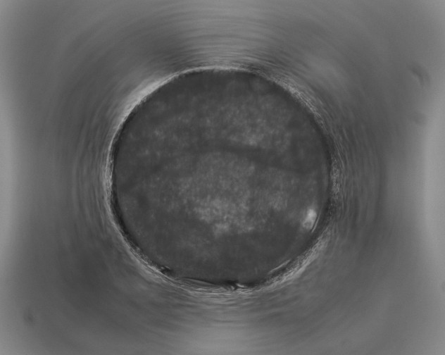 X0000113071077200909250924