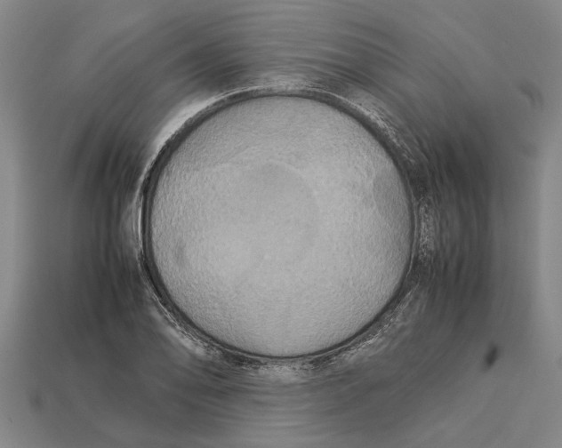 X0000113071078200909250924
