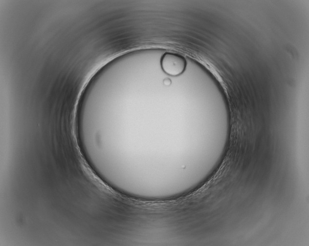 X0000113071080200909250924