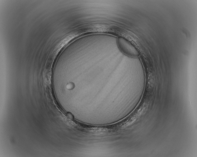 X0000113071081200909250924