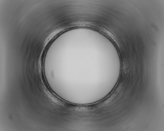 X0000113071082200909250924