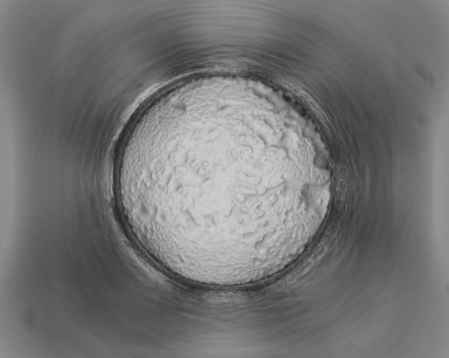 X0000113071083200909250924