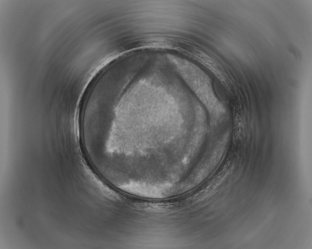 X0000113071084200909250924