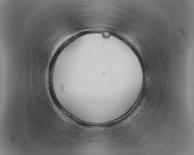 X0000113071085200909250924