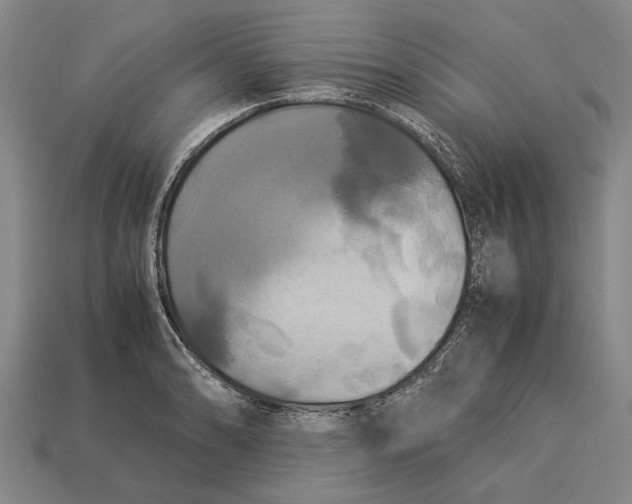 X0000113071086200909250924