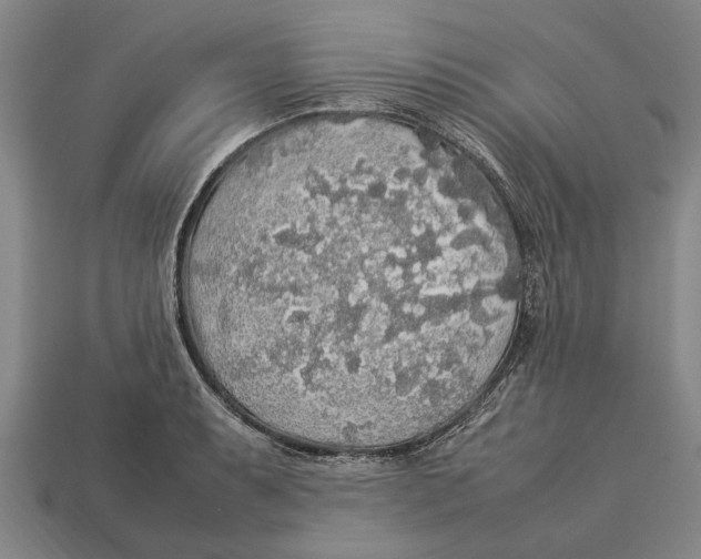 X0000113071087200909250924