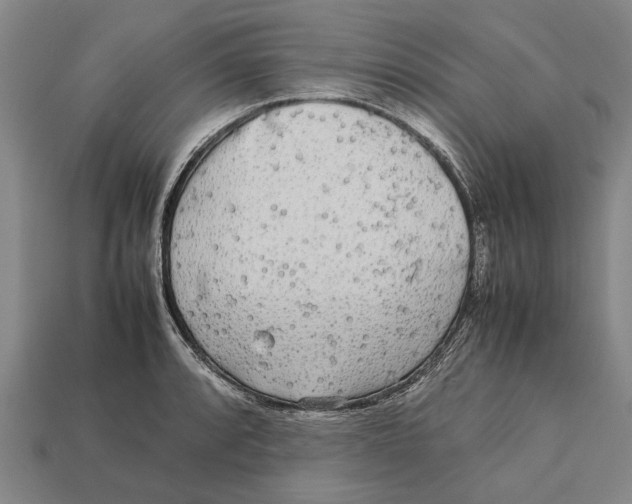X0000113071088200909250924