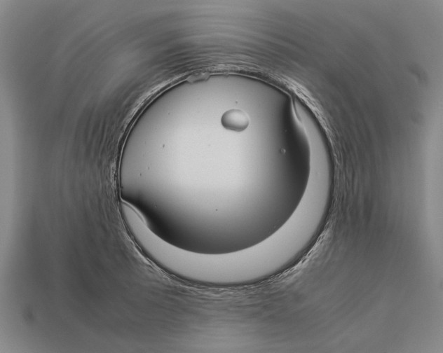 X0000113071089200909250924