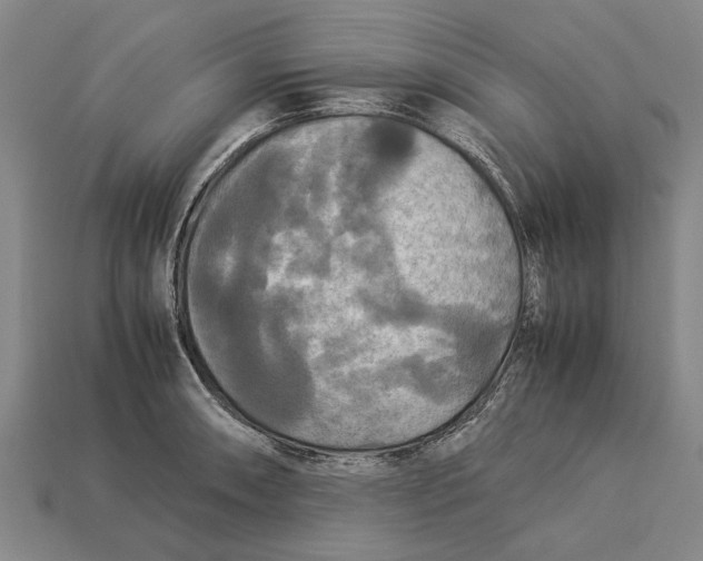 X0000113071090200909250924