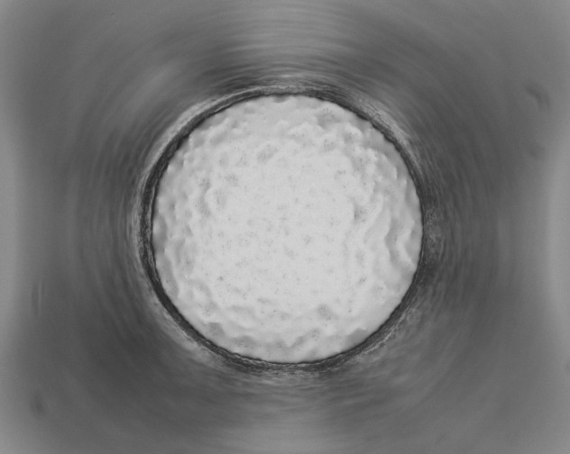 X0000113071091200909250924
