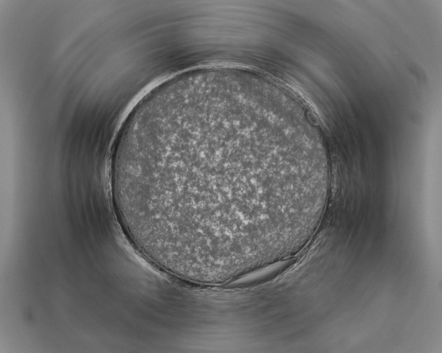 X0000113071092200909250924