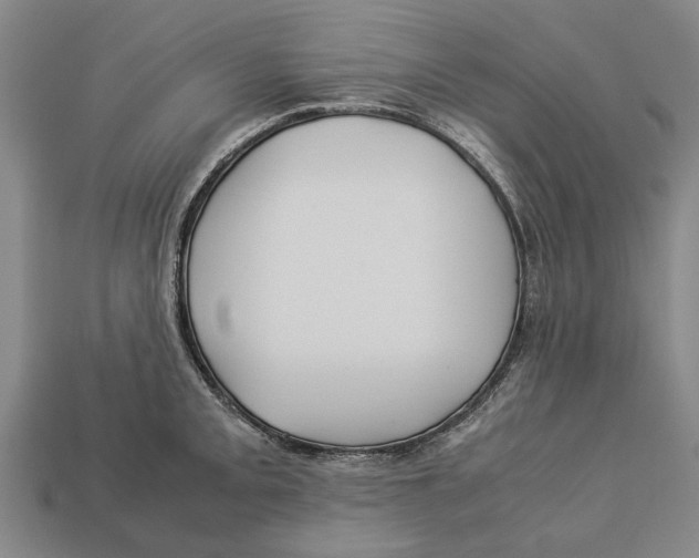 X0000113071093200909250924