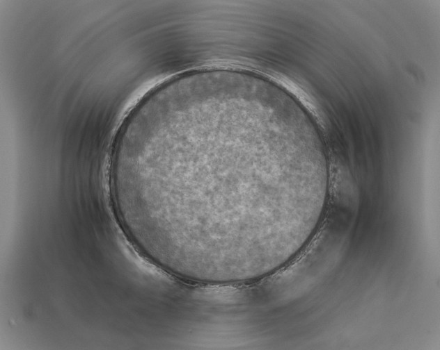 X0000113071094200909250924