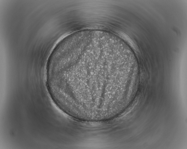 X0000113071095200909250924