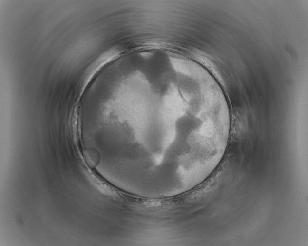 X0000113071098200909250924