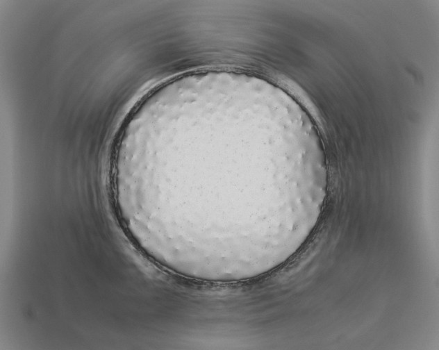 X0000113071099200909250924