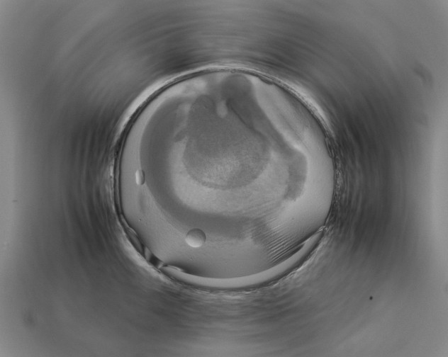 X0000113071100200909250924