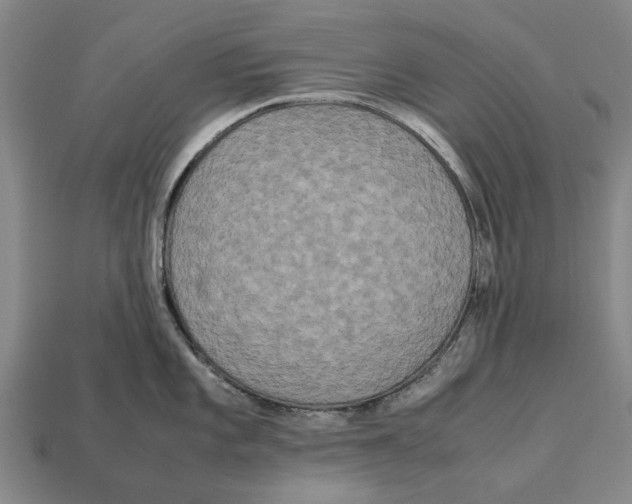 X0000113071101200909250924