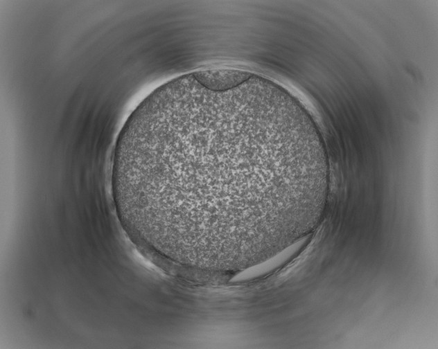 X0000113071102200909250924