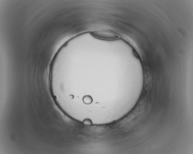 X0000113071103200909250924