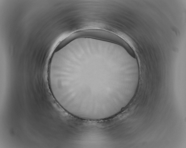 X0000113071104200909250924