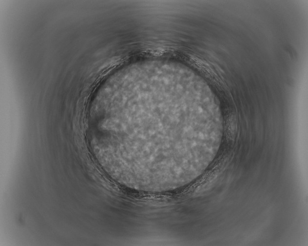 X0000113071105200909250923