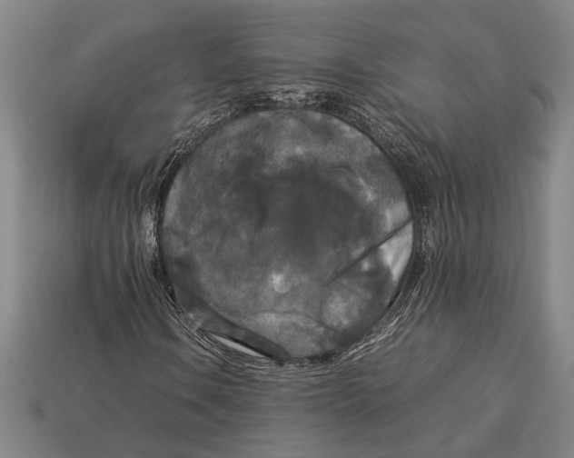 X0000113071106200909250923
