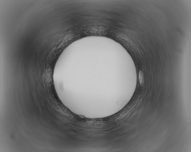 X0000113071107200909250923