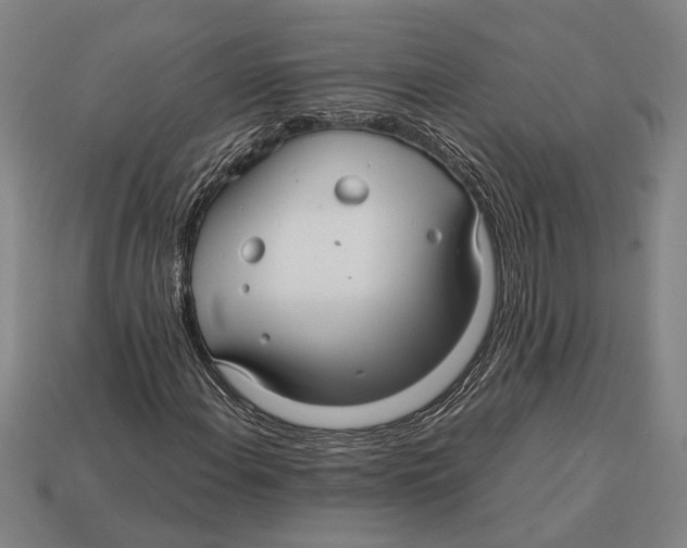 X0000113071108200909250923