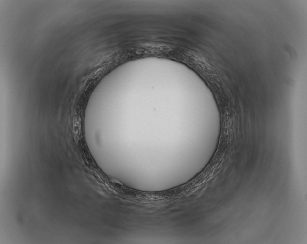 X0000113071109200909250923