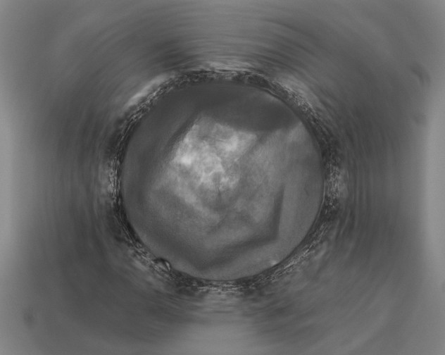 X0000113071110200909250923