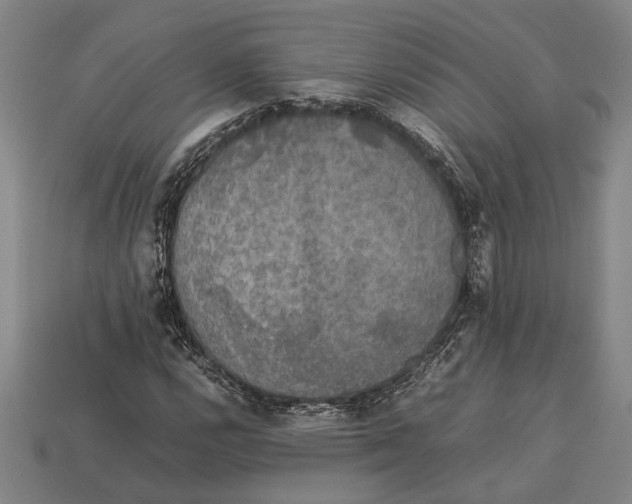 X0000113071112200909250923