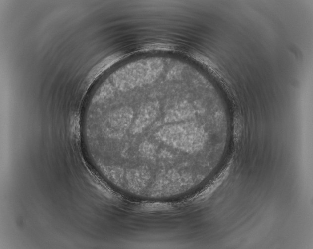 X0000113071113200909250923