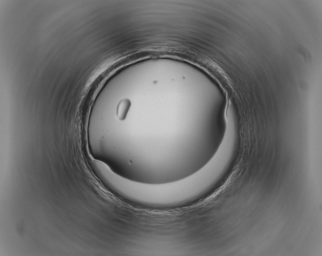 X0000113071114200909250923
