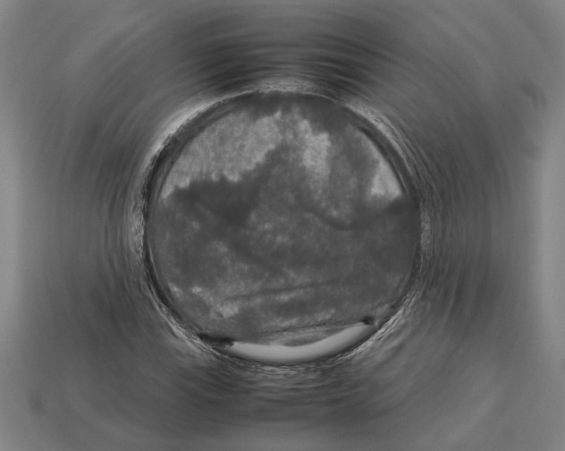 X0000113071115200909250923