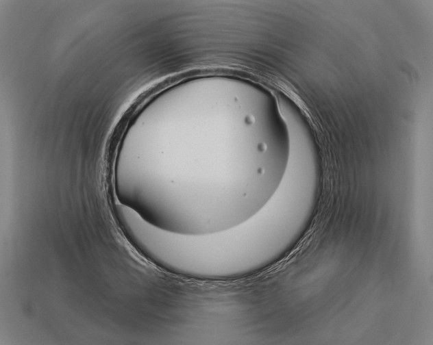 X0000113071116200909250923