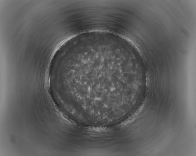 X0000113071117200909250923