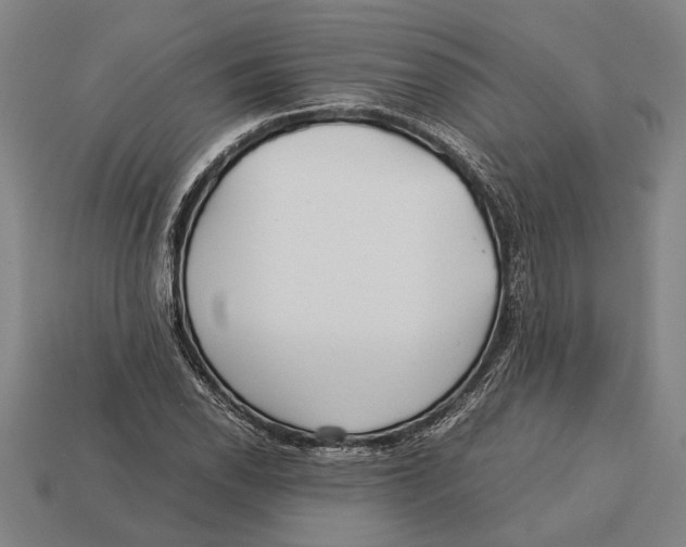 X0000113071118200909250923