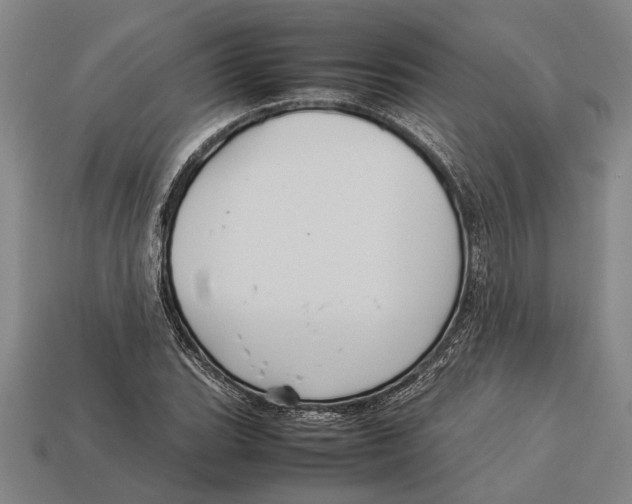 X0000113071119200909250923