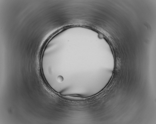 X0000113071120200909250923
