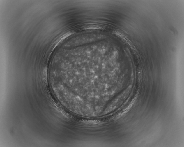 X0000113071121200909250923